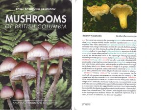 Read more about the article Mushrooms of BC now published!